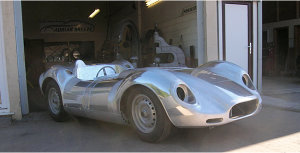 Jaguar Knobbly Lister